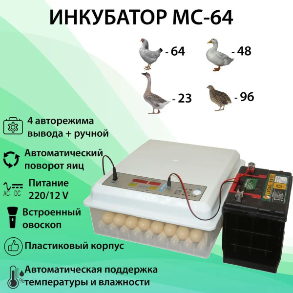 Инкубатор для яиц купить на OZON по низкой цене (1723655463)
