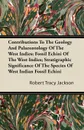 Contributions To The Geology And Palaeontology Of The West Indies; Fossil Echini Of The West Indies; Stratigraphic Significance Of The Species Of West Indian Fossil Echini - Robert Tracy Jackson