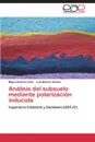 Analisis del Subsuelo Mediante Polarizacion Inducida - Avila Miguel Antonio, Reales Luis Manuel