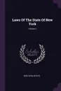 Laws Of The State Of New York; Volume 2 - New York (State)