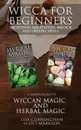 Wicca for Beginners. 2 Manuscripts Herbal Magic and Wiccan including Meditation, Magick and Crystal Spells - Scott Markson, Lisa Cunningham