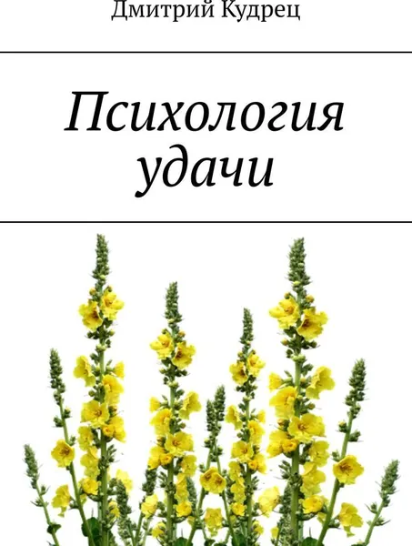 Обложка книги Психология удачи, Дмитрий Кудрец