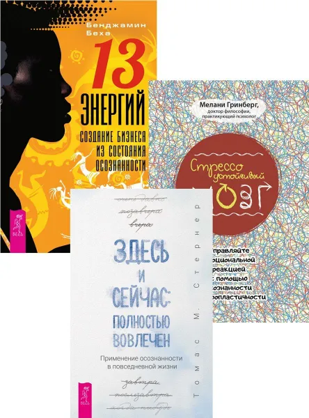 Обложка книги Здесь и сейчас + 13 Энергий + Стрессоустойчивый мозг , Стернер Томас М., Беха Бенджамин, Гринберг Мелани