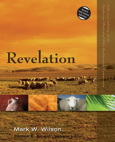 Обложка книги Revelation, Mark W. Wilson