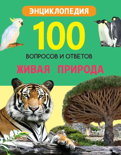 Обложка книги Живая природа, Соколова Л.