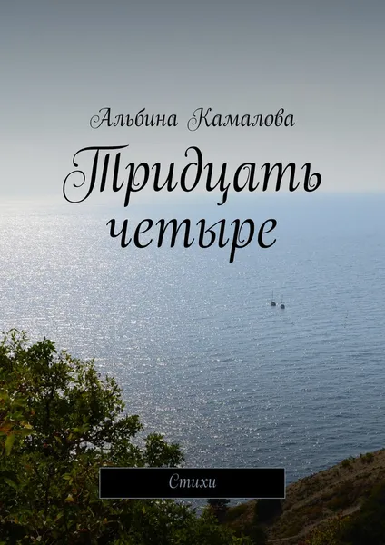 Обложка книги Тридцать четыре, Альбина Камалова