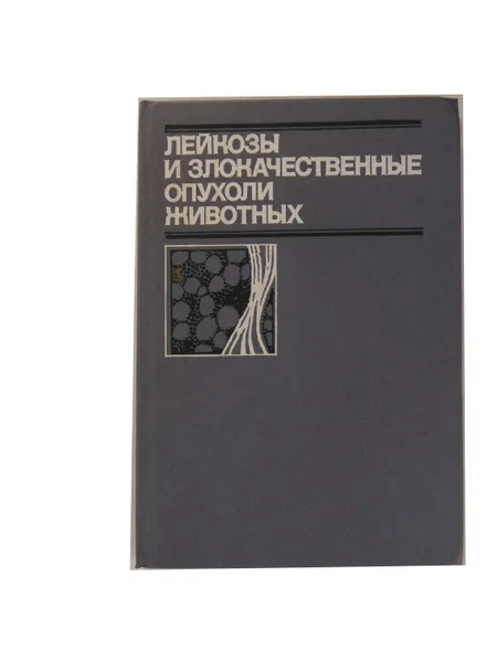 Обложка книги Мастера и шедевры европейской живописи, О. В. Морозова