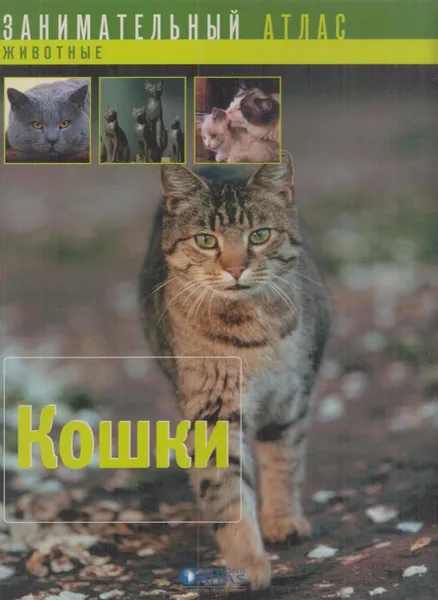 Обложка книги Кошки, Сильвия Вэсман