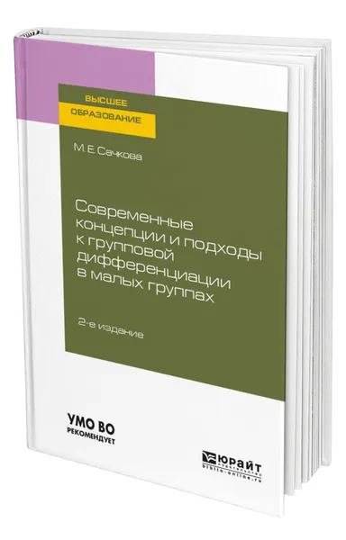 Обложка книги Современные концепции и подходы к групповой дифференциации в малых группах, Сачкова Марианна Евгеньевна