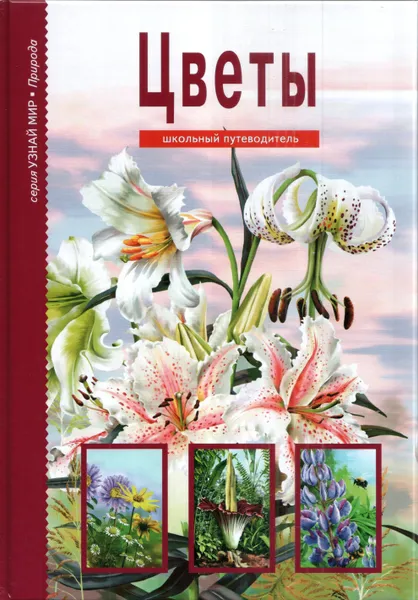 Обложка книги Цветы. Школьный путеводитель, Афонькин Сергей Юрьевич