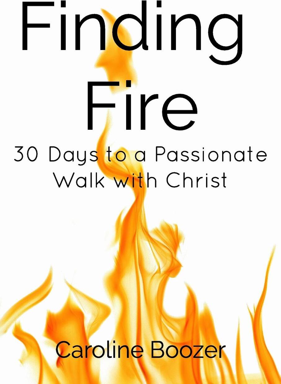 Find your fire. Finding Fire книга. Find you Fire. Find your Fire перевод