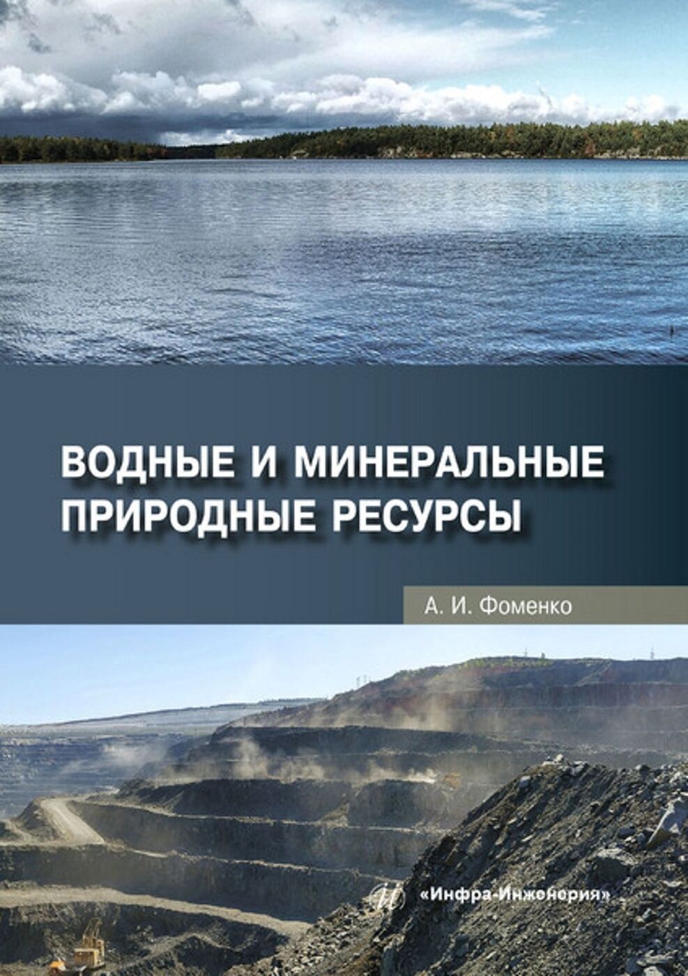 Водные и минеральные природные ресурсы | Фоменко Александра Ивановна -  купить с доставкой по выгодным ценам в интернет-магазине OZON (199035050)