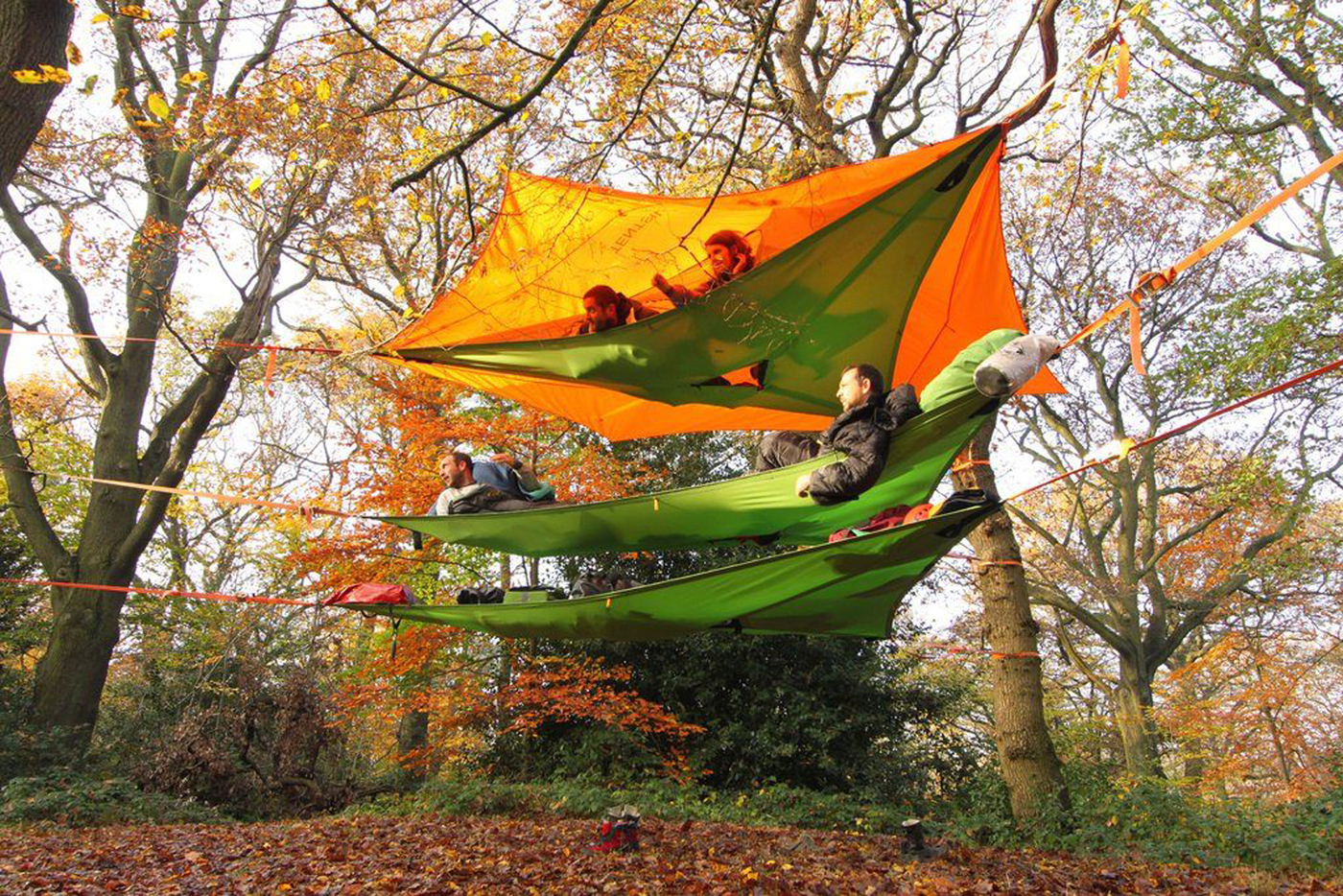 Trillium Tentsile