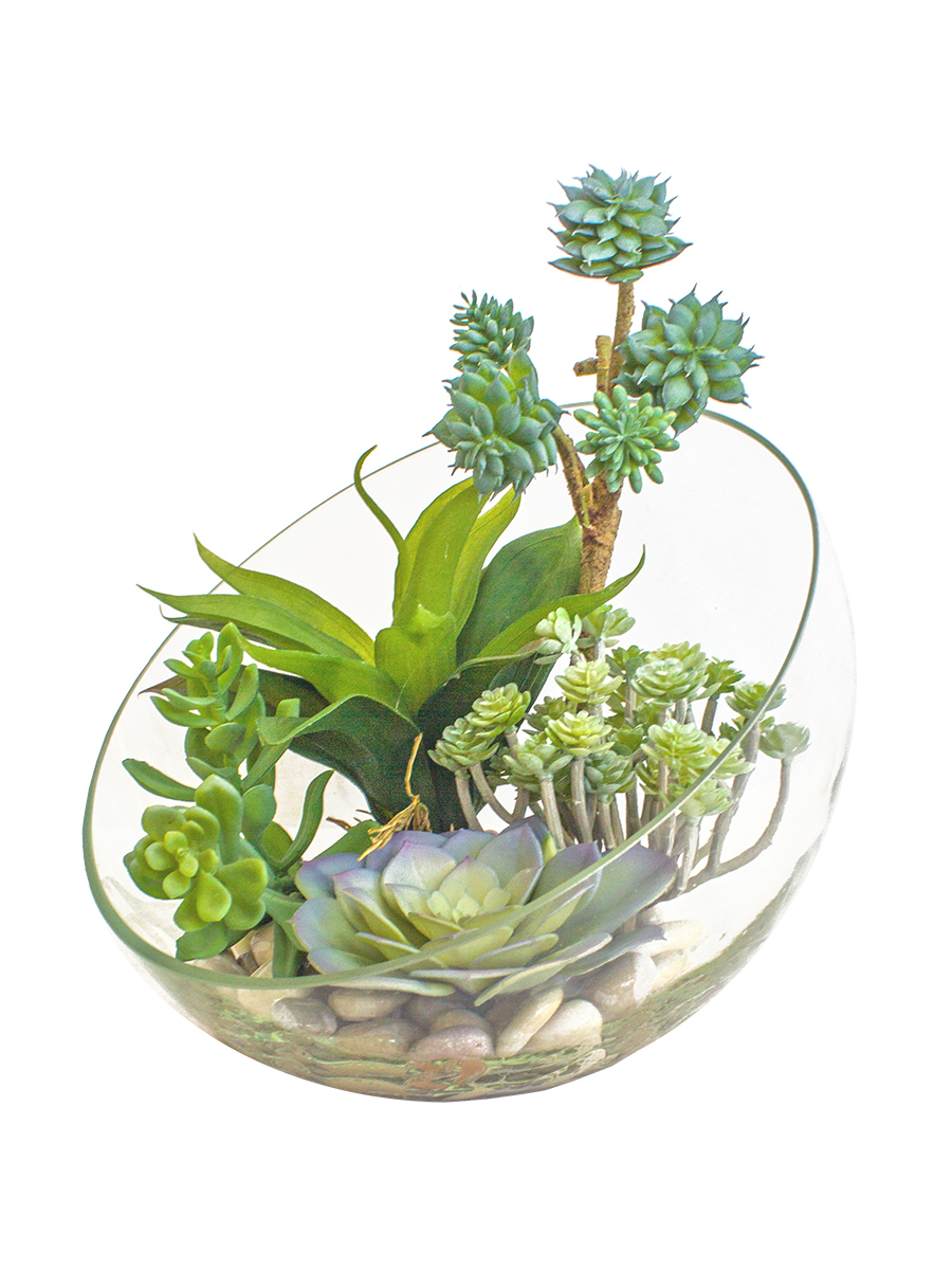 Купить Суккуленты мини-садик в большой стеклянной вазе со скосом по ...