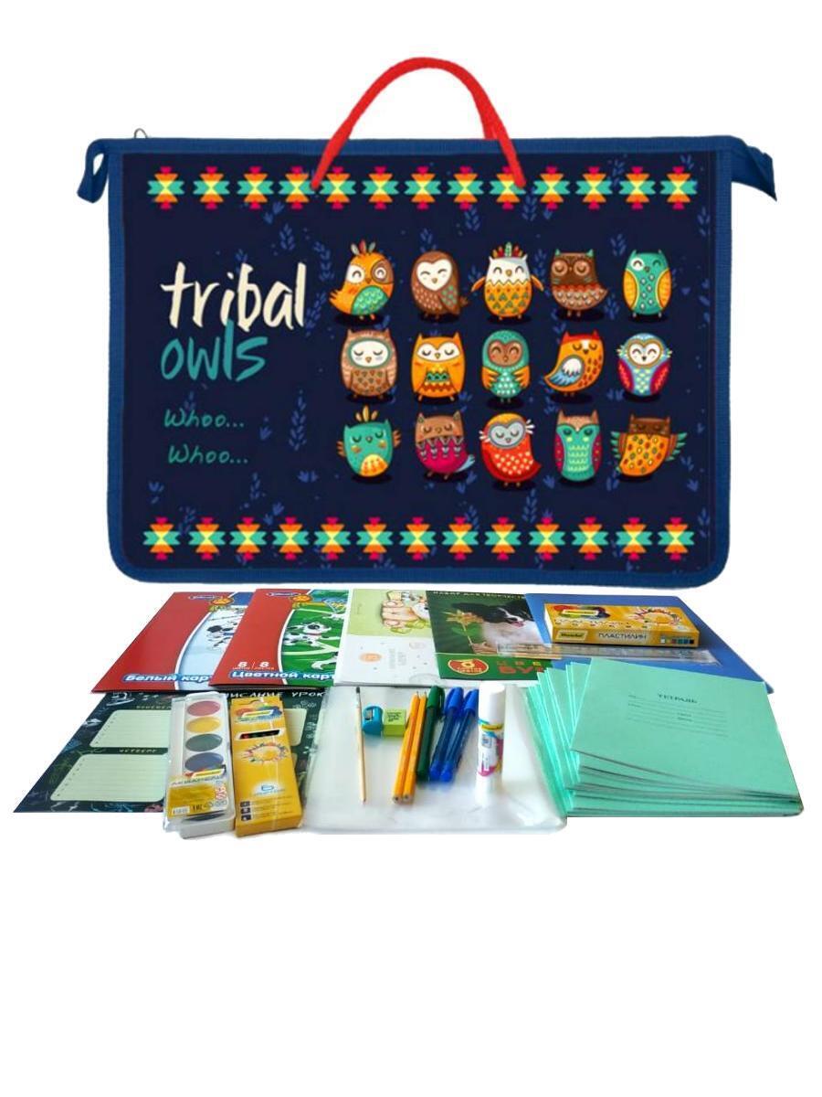 Brauberg «школьный универсальный" набор школьных принадлежностей. Набор школьника-первоклассника. 3 набор школьникам. Набор первоклассника erhaft dm-scl002. Набор учеников репетитору.