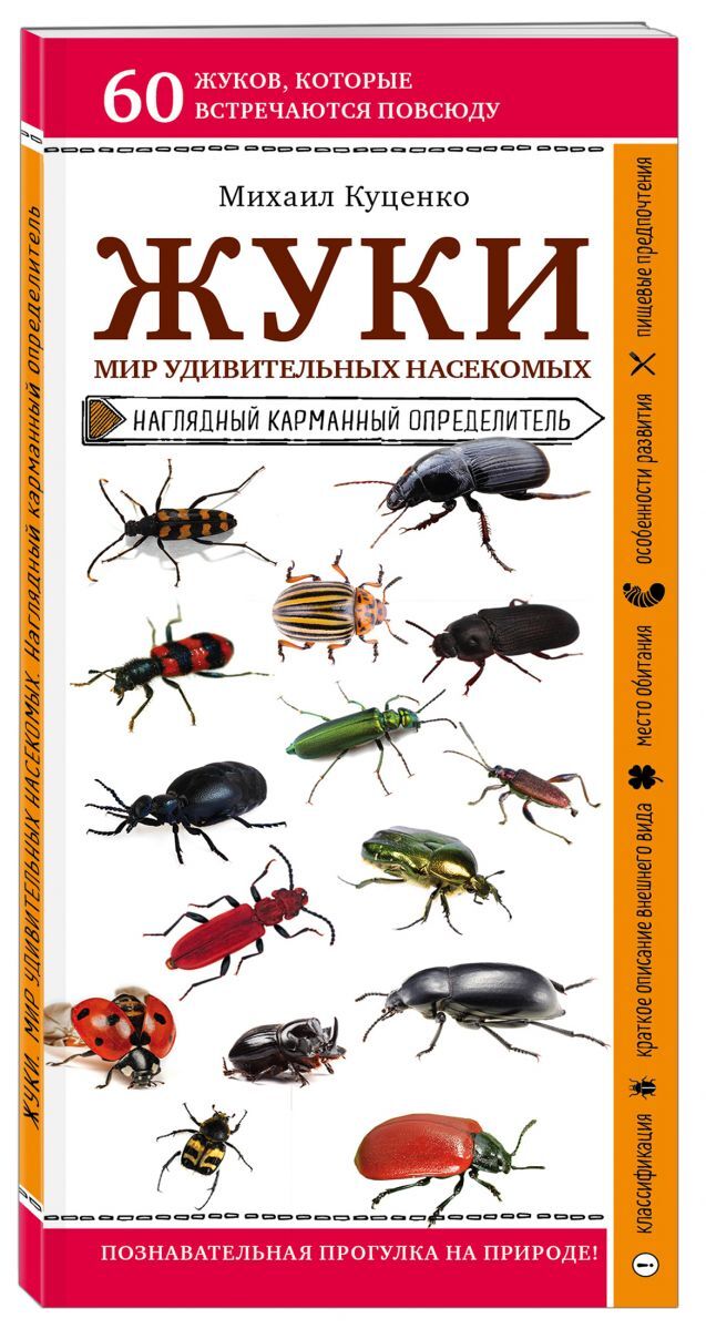 Мир Дисконт Интернет Магазин