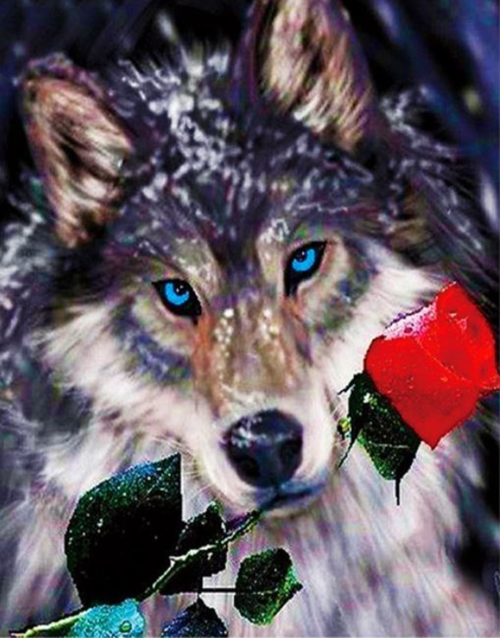 Волк с розой во рту