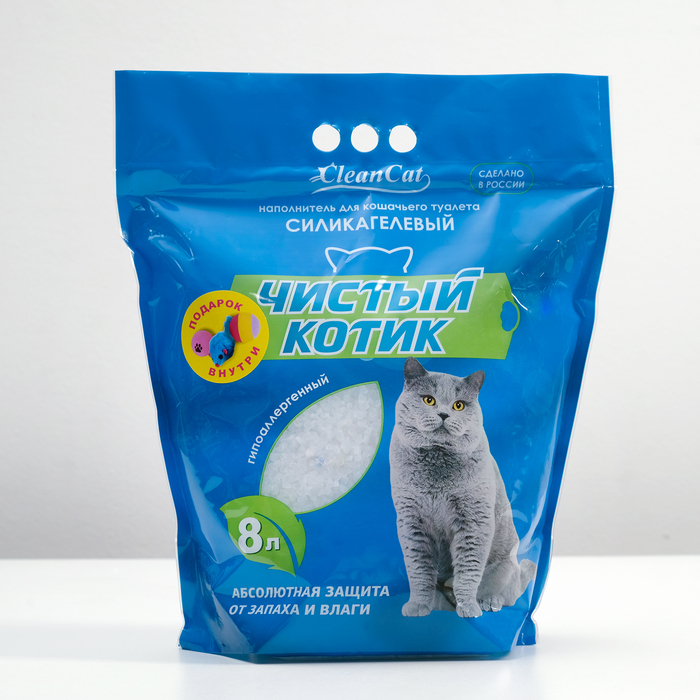 Чистый котик стерлитамак