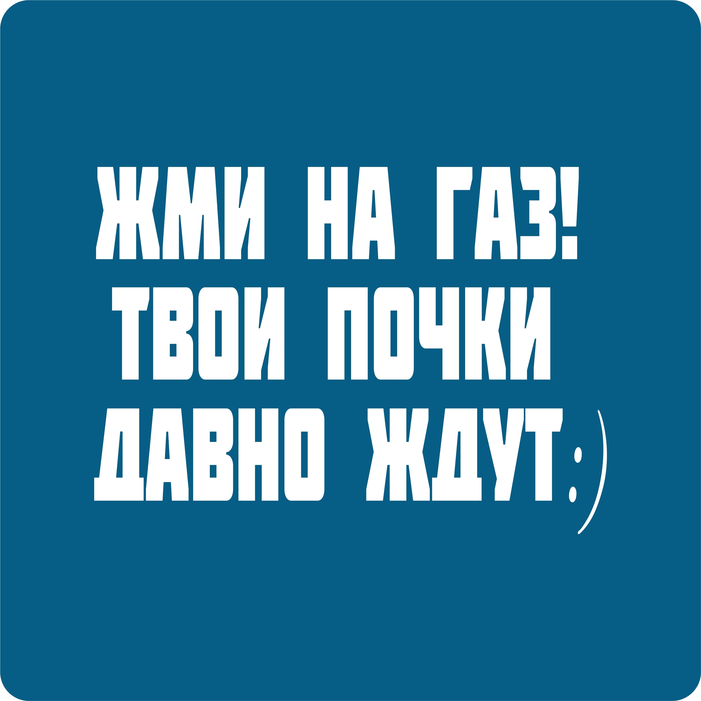 Наклейки на авто стикеры Жми на газ! Твои почки давно ждут. 15х11 см.