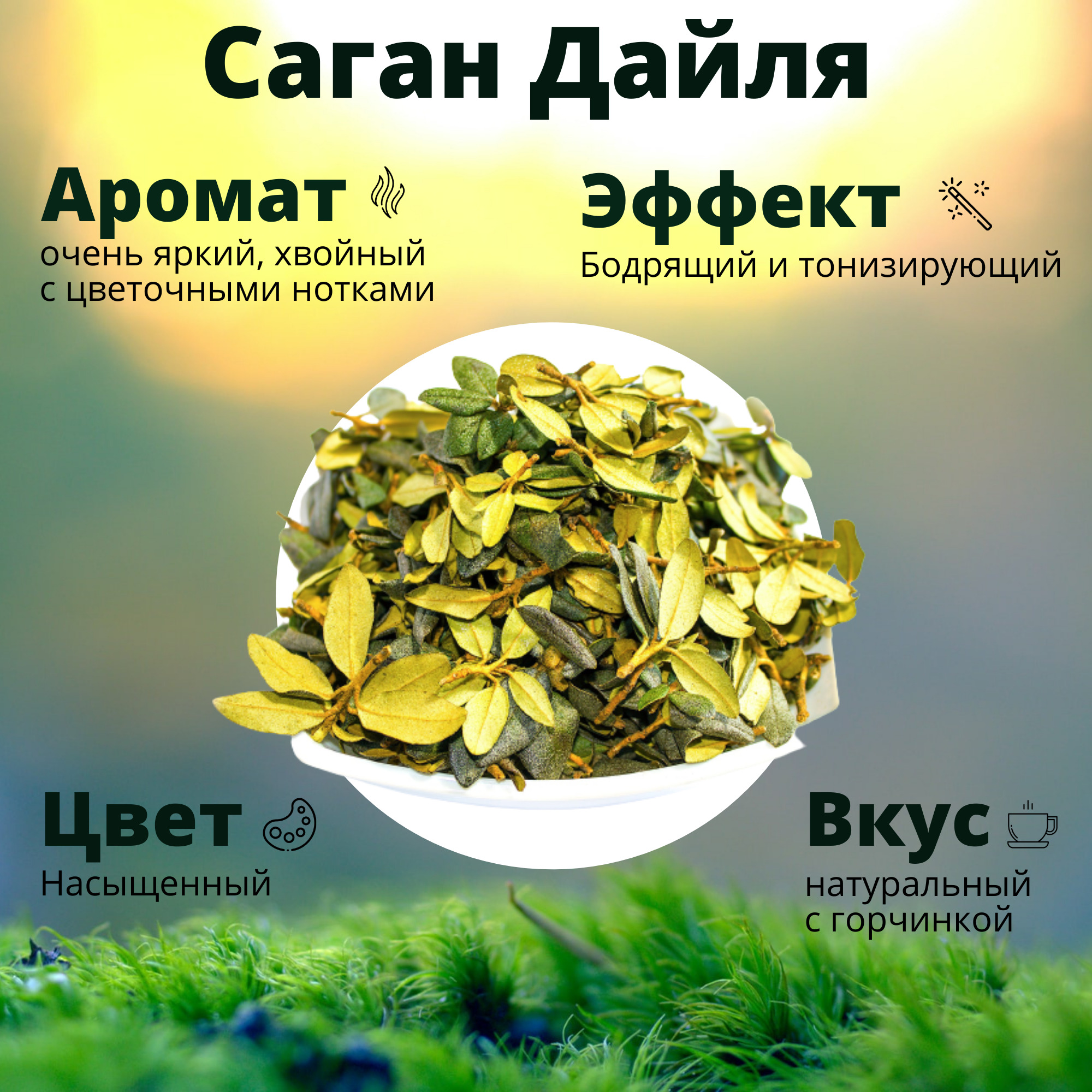 Чай травяной Саган Дайля листовой (Рододендрон Адамса) Саган Дали ...
