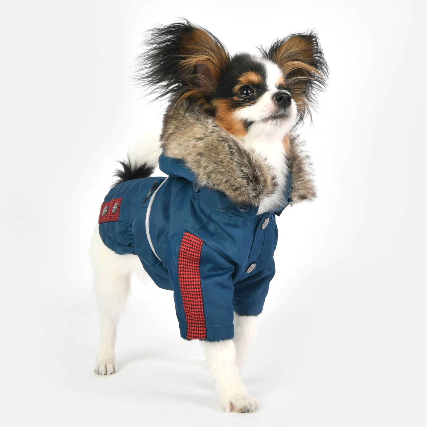 Puppia sports комбинезон. Комбинезон для собак puppia. Puppia для собак официальный сайт. Puppia аниме. Puppia жилет со шлейкой mountaineer ii.