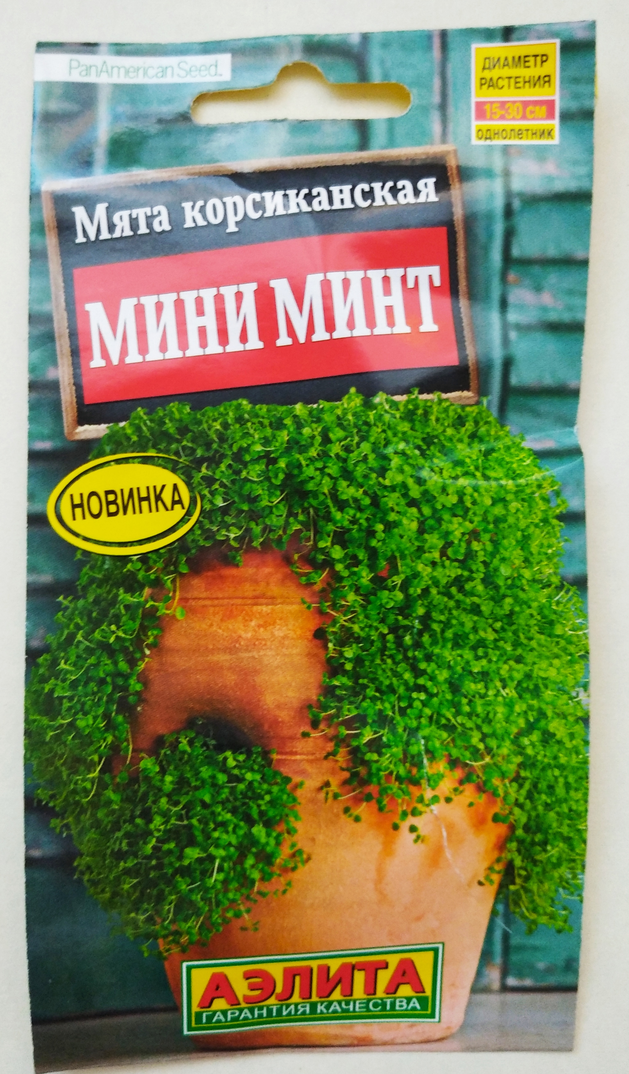 Микро мята