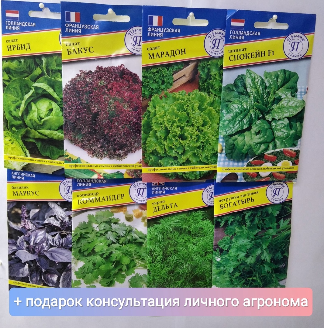 Калатея набор зелени - купить по выгодным ценам в интернет-магазине OZON