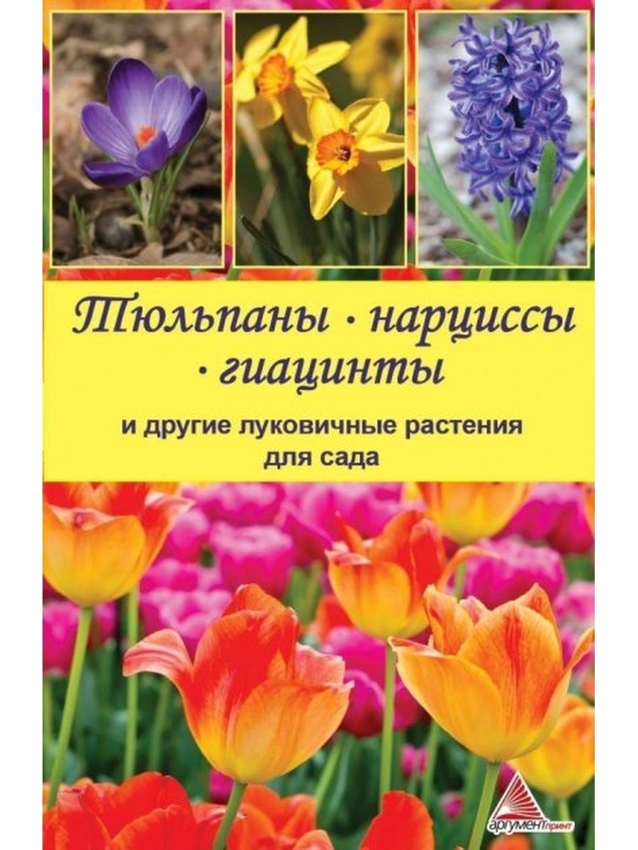 Луковичные Цветы Для Сада В Екатеринбурге Купить