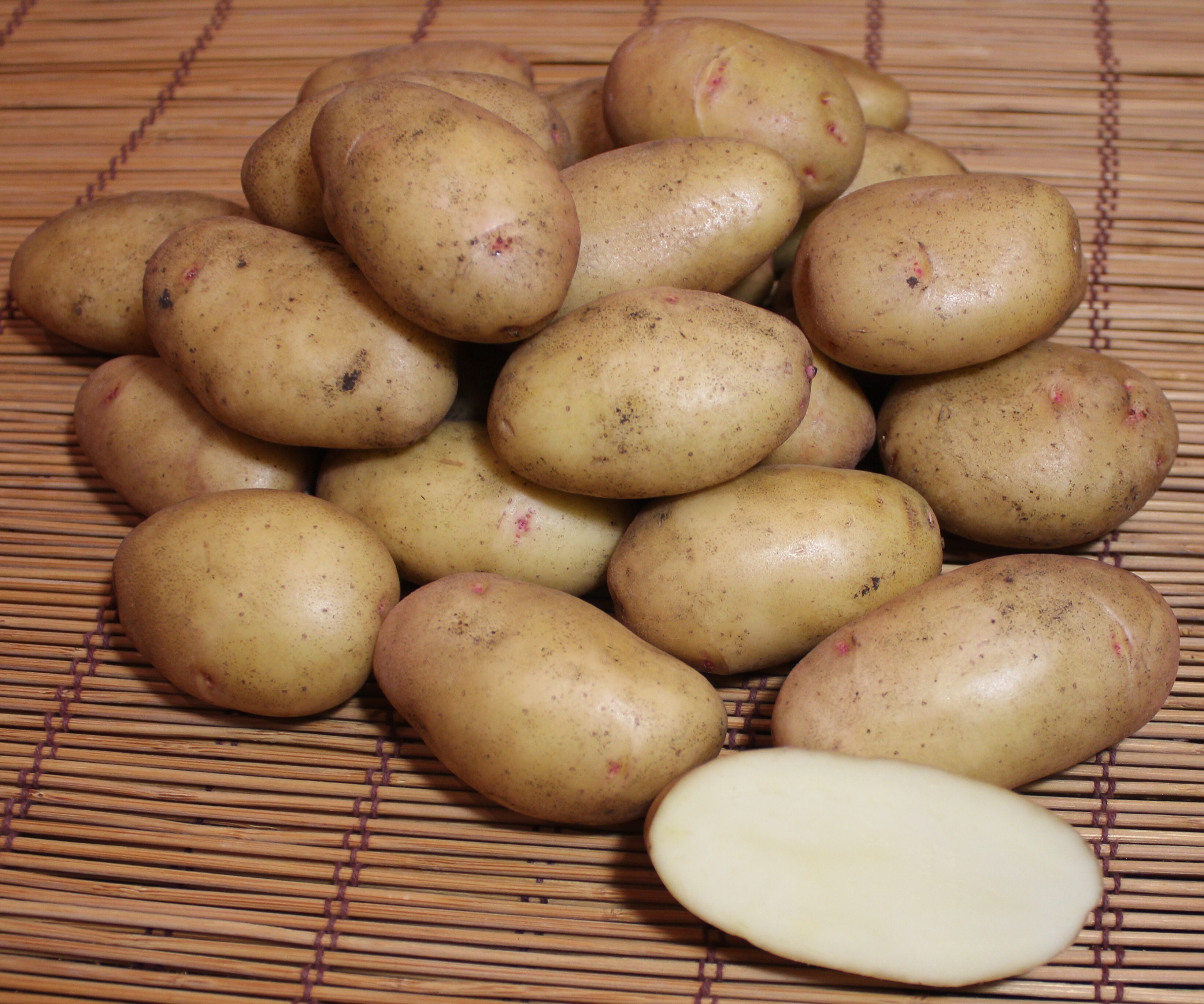 картофель кураж фото
