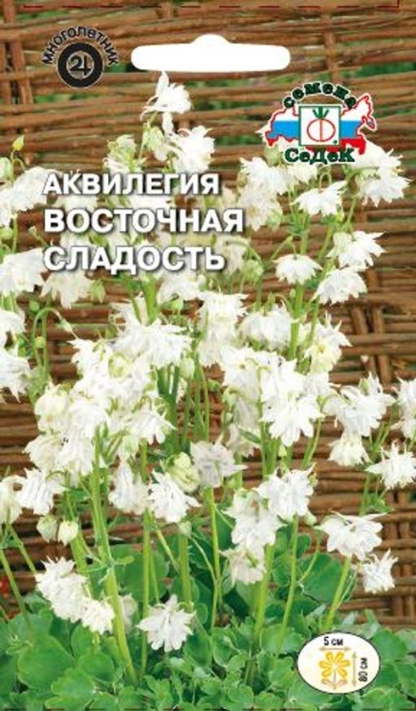 Аквилегия Купить