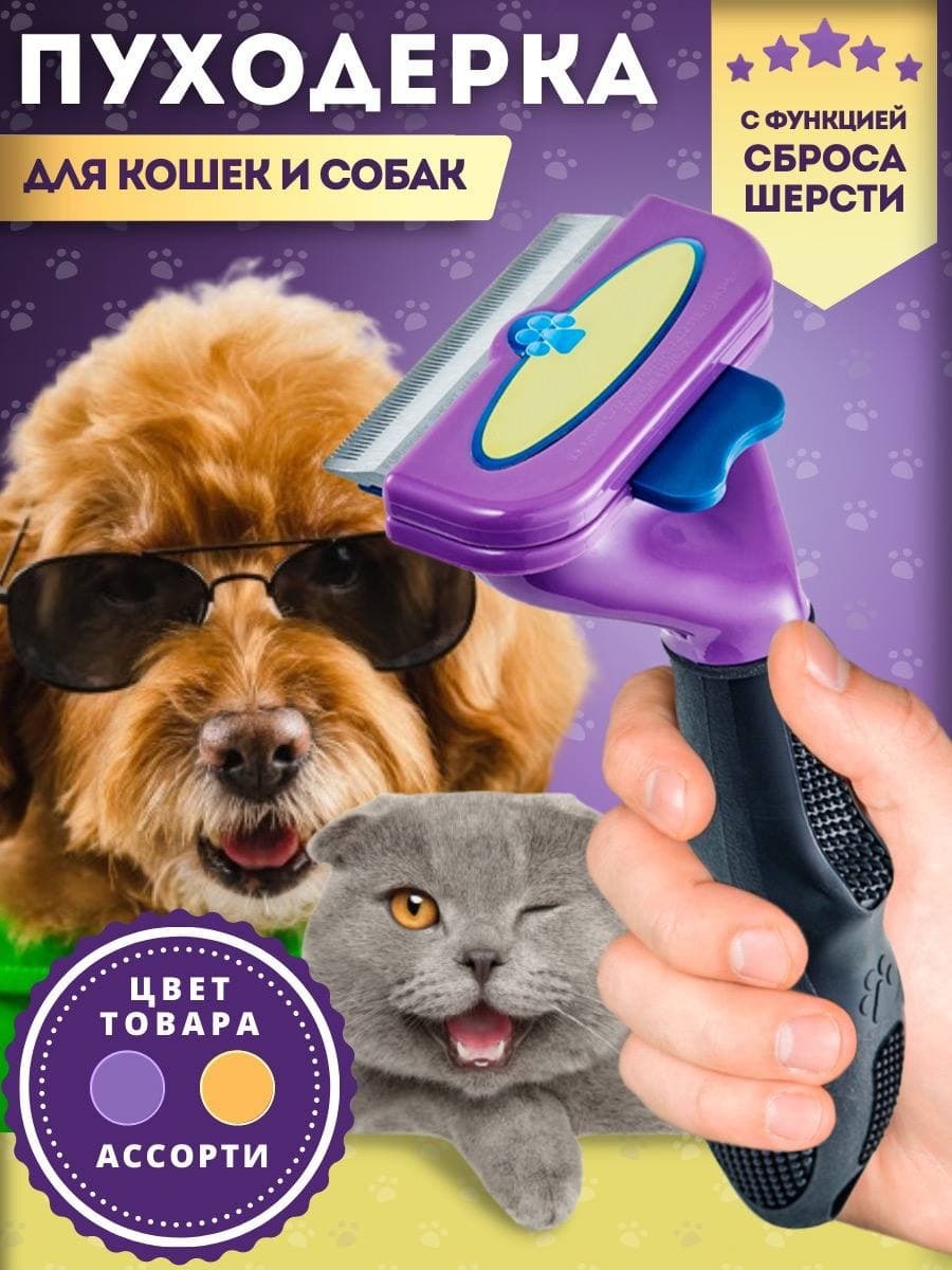 Собака щетка фото