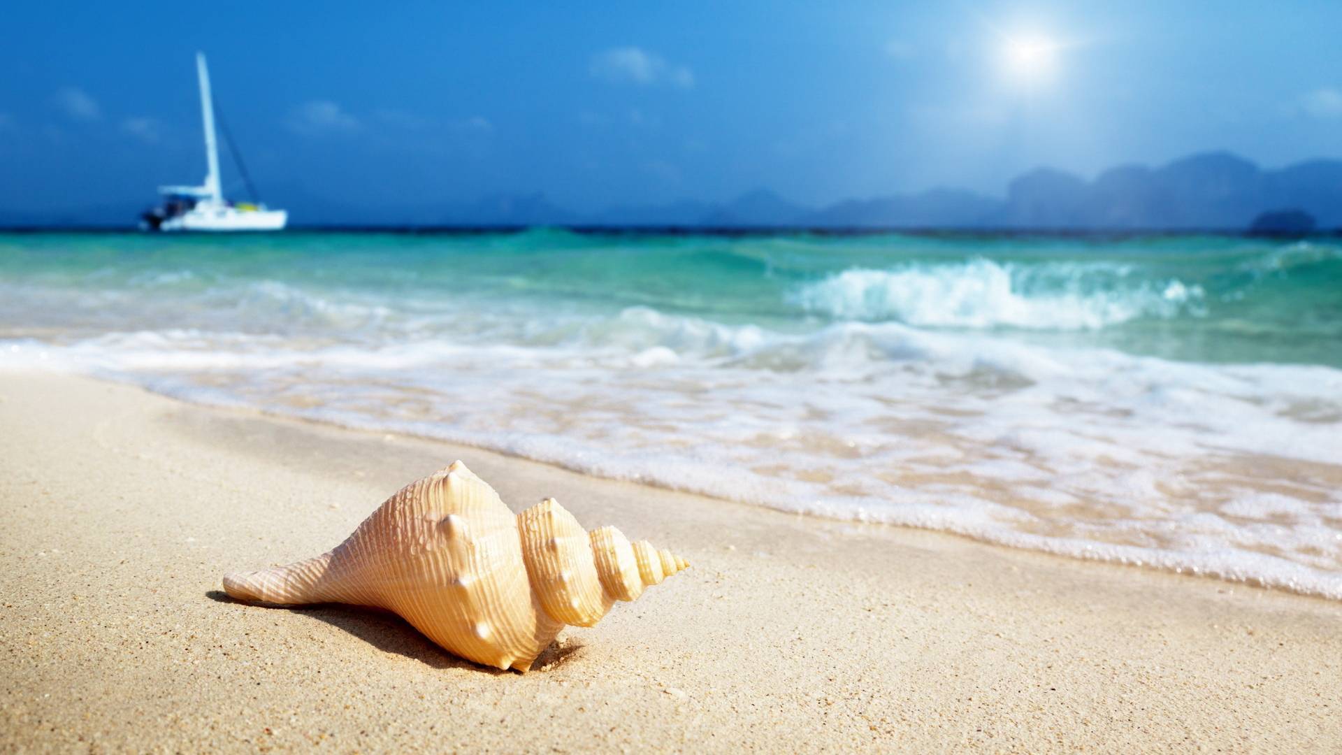 Shell beach. Пляж песок. Ракушки на пляже. Море песок. Пляж море песок.
