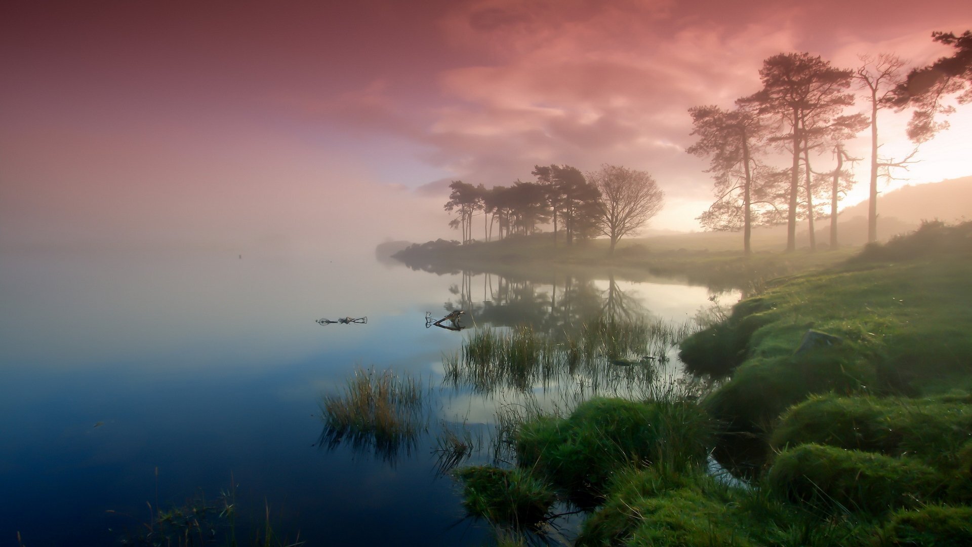 Шотландия в тумане озеро