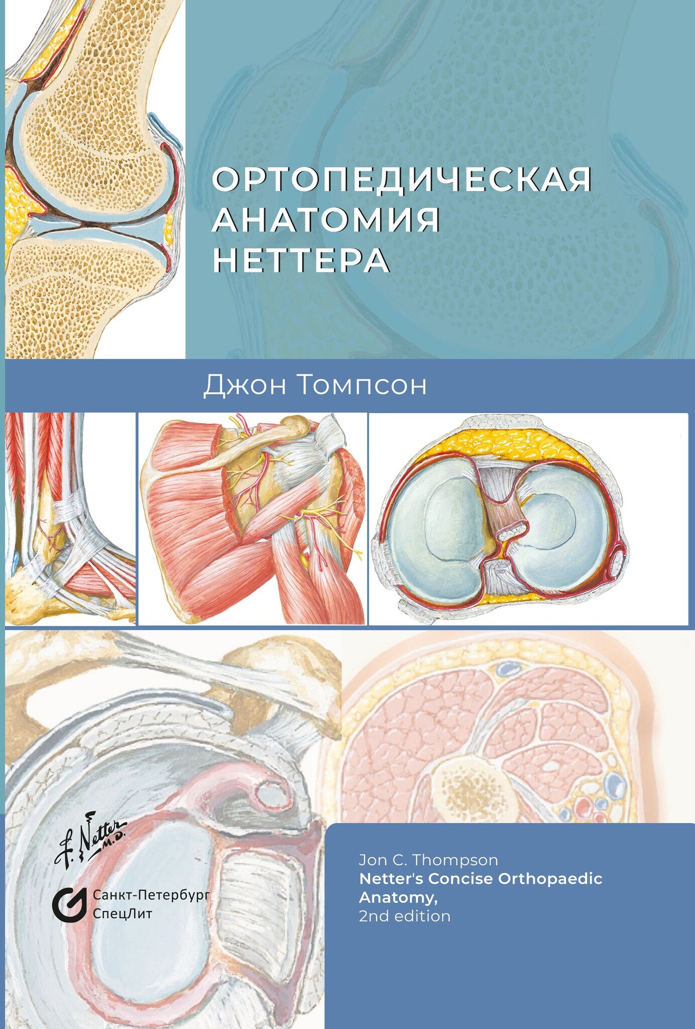 ОртопедическаяанатомияНеттера|ТомпсонД.