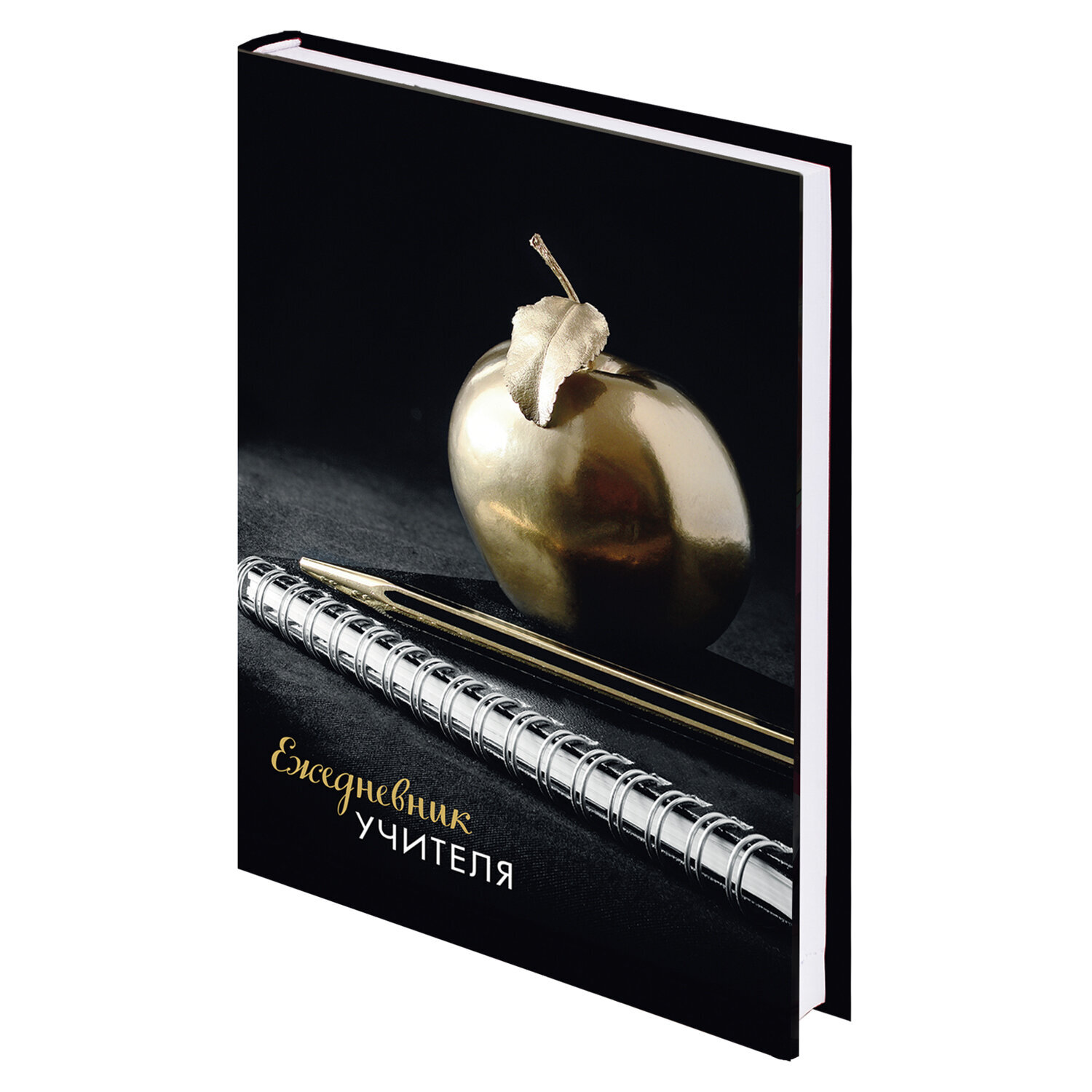 Учительский ежедневник. Учительский ежедневник. Учительский ежедневник. Блокнот бухгалтера. Ежедневник учителя.