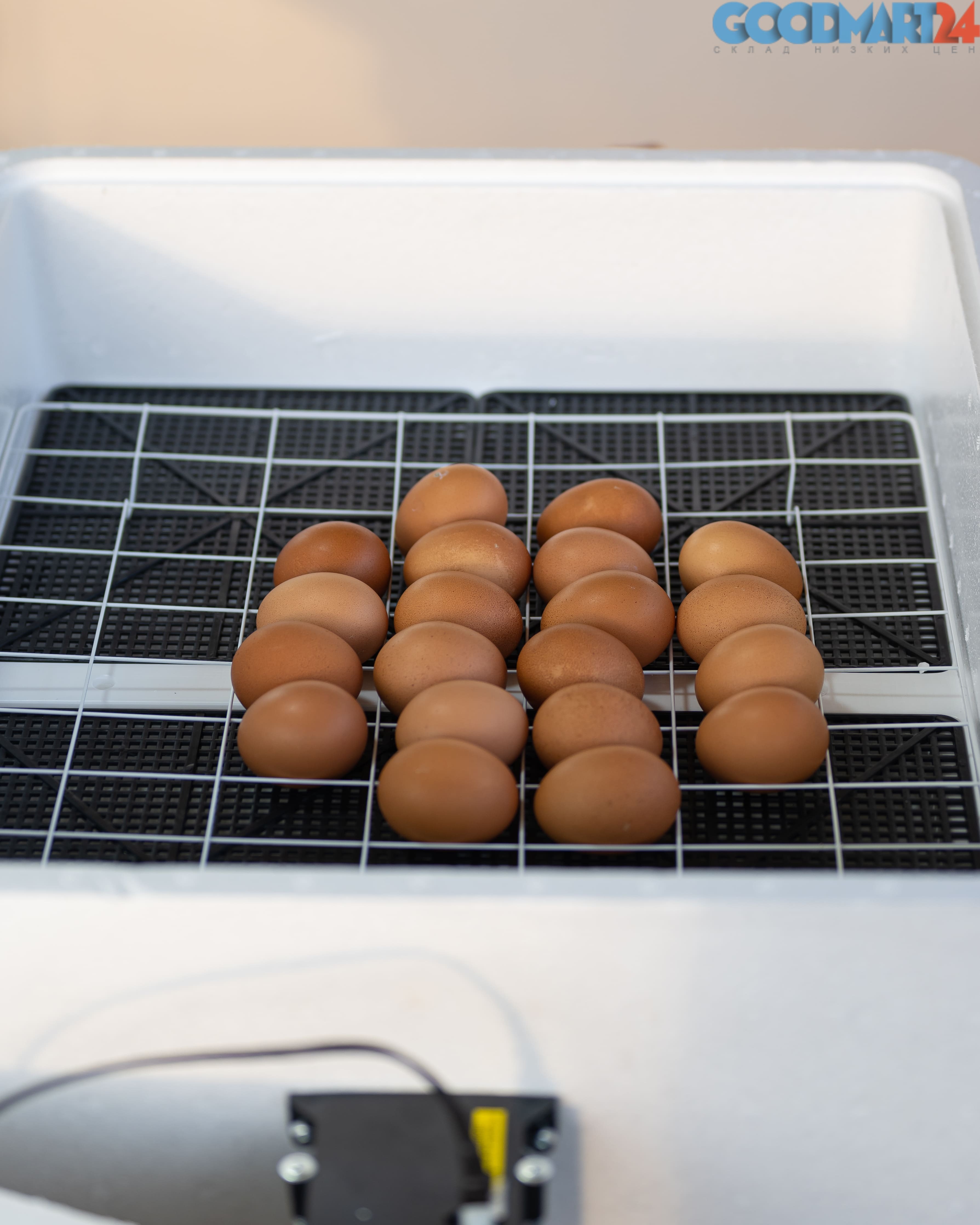 Инкубатор несушка 77 яиц полностью автоматический. Инкубатор Несушка на 77 яиц. Инкубатор Несушка 104 автоматический. Инкубатор Несушка 77 автомат. Инкубатор Несушка на 63 яйца.