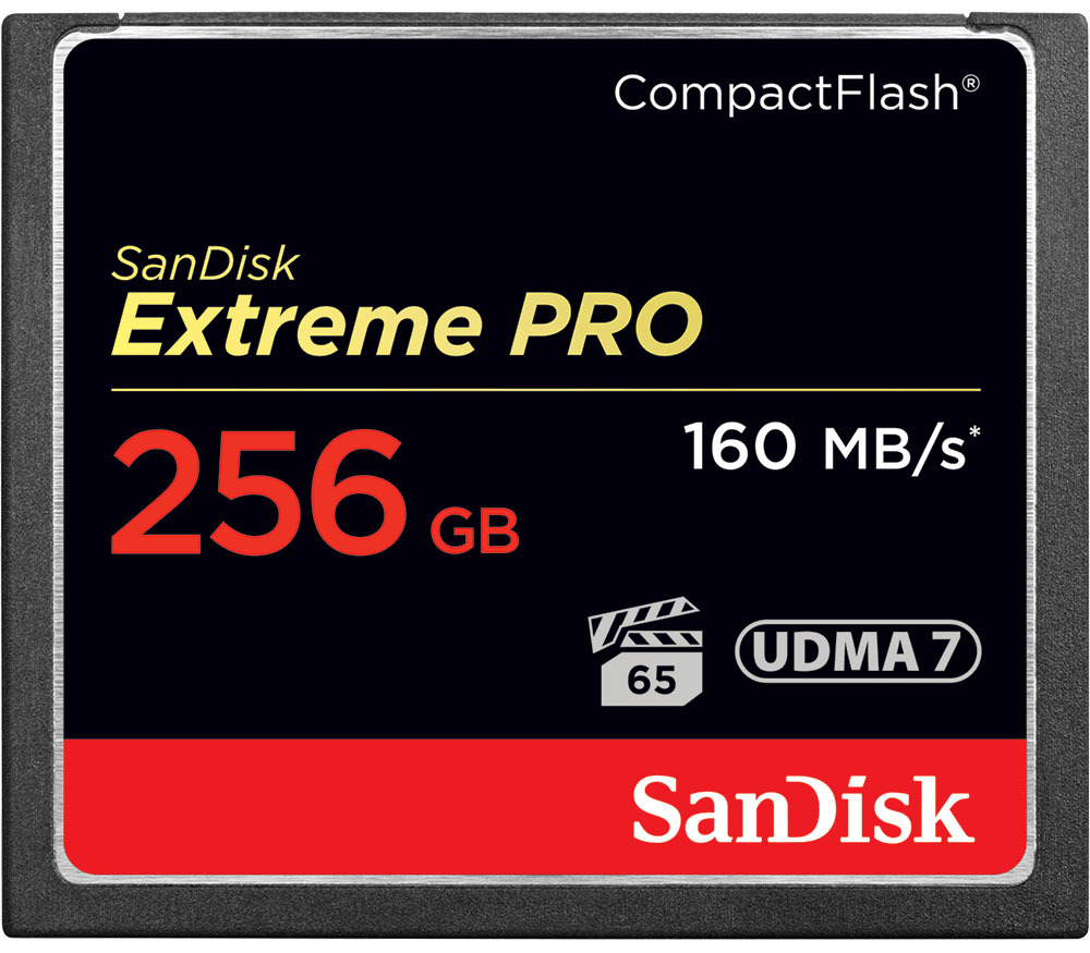 КартапамятиSanDiskCompactFlash256GBExtremePro160Mb/s