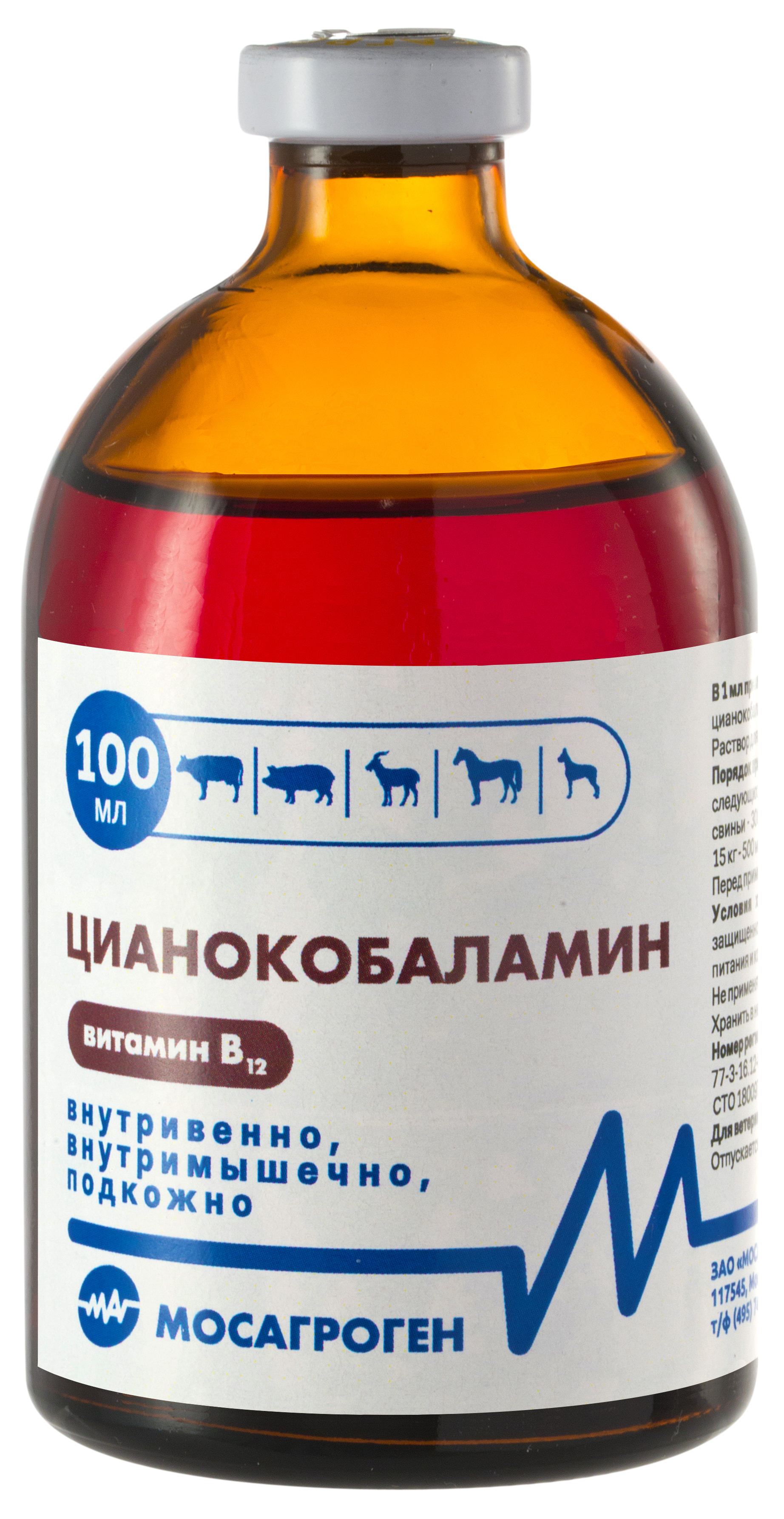 Витамин B12, раствор (цианокобаламин), 100 мл - купить с доставкой по  выгодным ценам в интернет-магазине OZON (643846892)