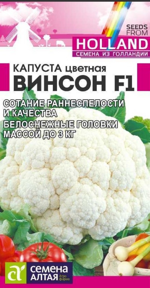 Голландская цветная капуста. Капуста цветная Винсон f1. Винсон капуста семена. Капуста цветная семена Алтая. З/ капуста (цветная Винсон f1) 7шт..