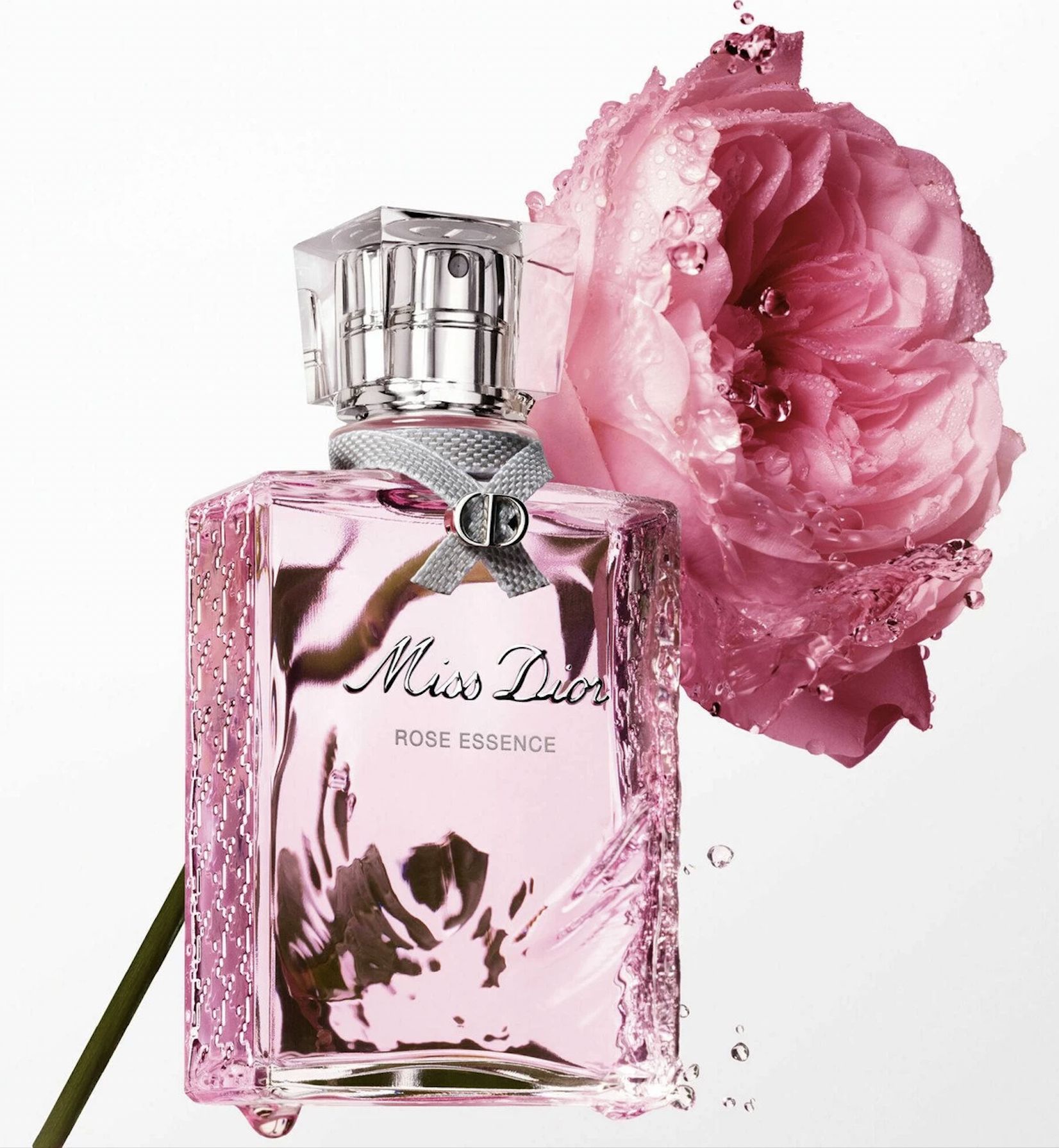 roses and roses dior Buy-62