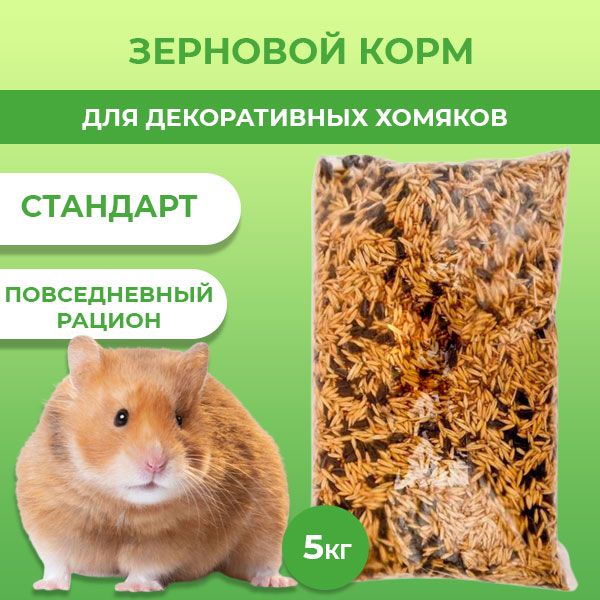 Какое комбо в хомяке 8 августа. Зерновые корма характеристика. Ноткоин хомяк 5 Лимонов.