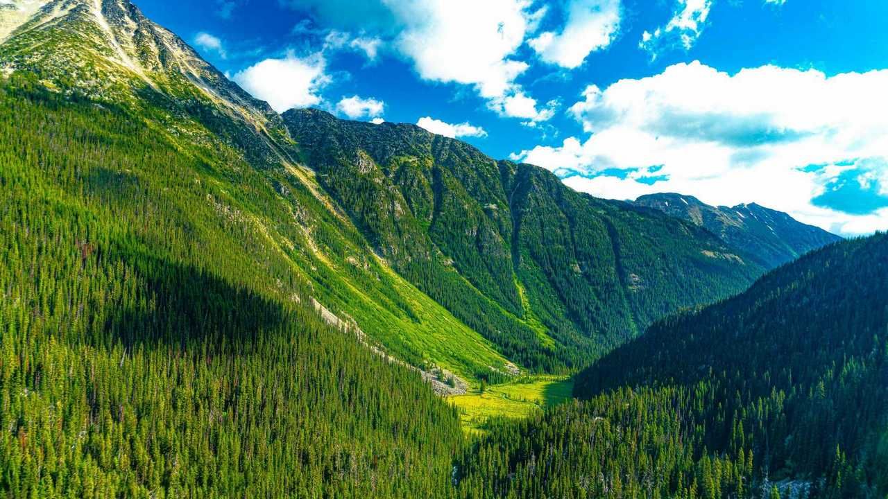 Лесная долина фото