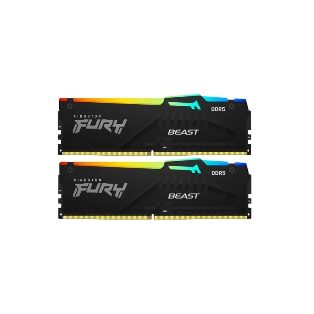 Kingston fury beast rgb