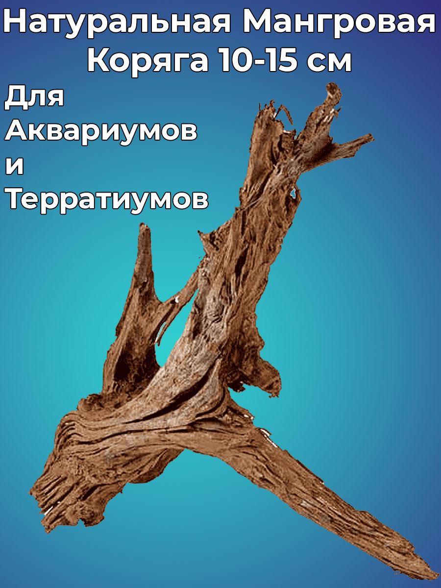 Коряги и корни в интерьере