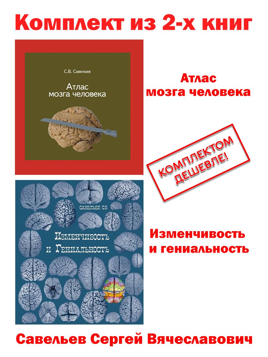 Нищета мозга книга