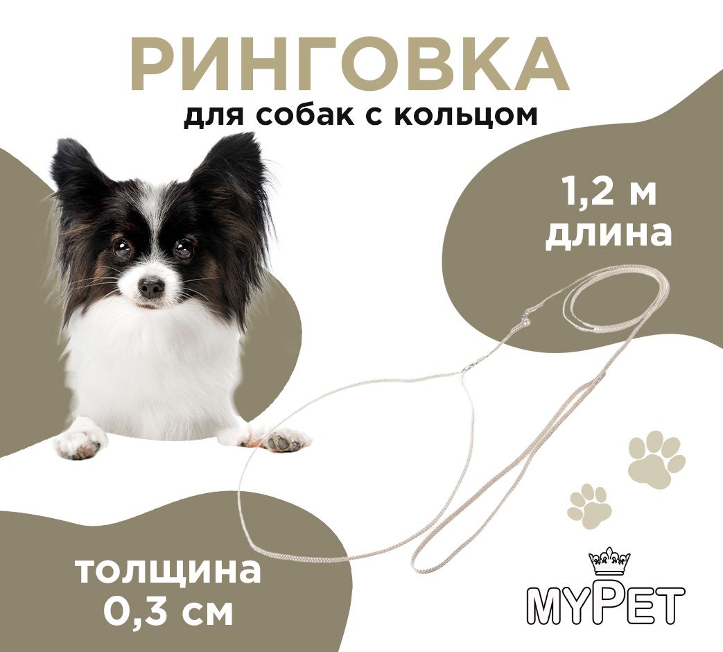 myPet Ринговка для дрессировки и выставок с кольцом, для собак - купить с  доставкой по выгодным ценам в интернет-магазине OZON (154941713)