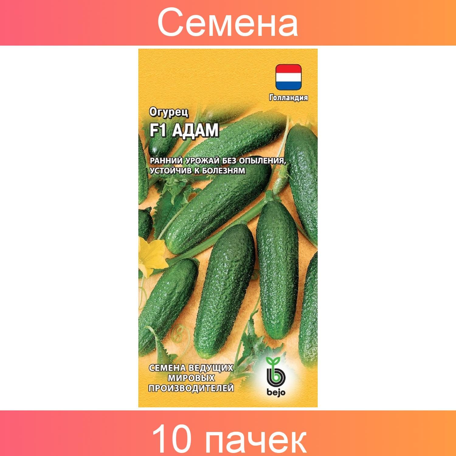 Купить Семена Огурцов В Туле