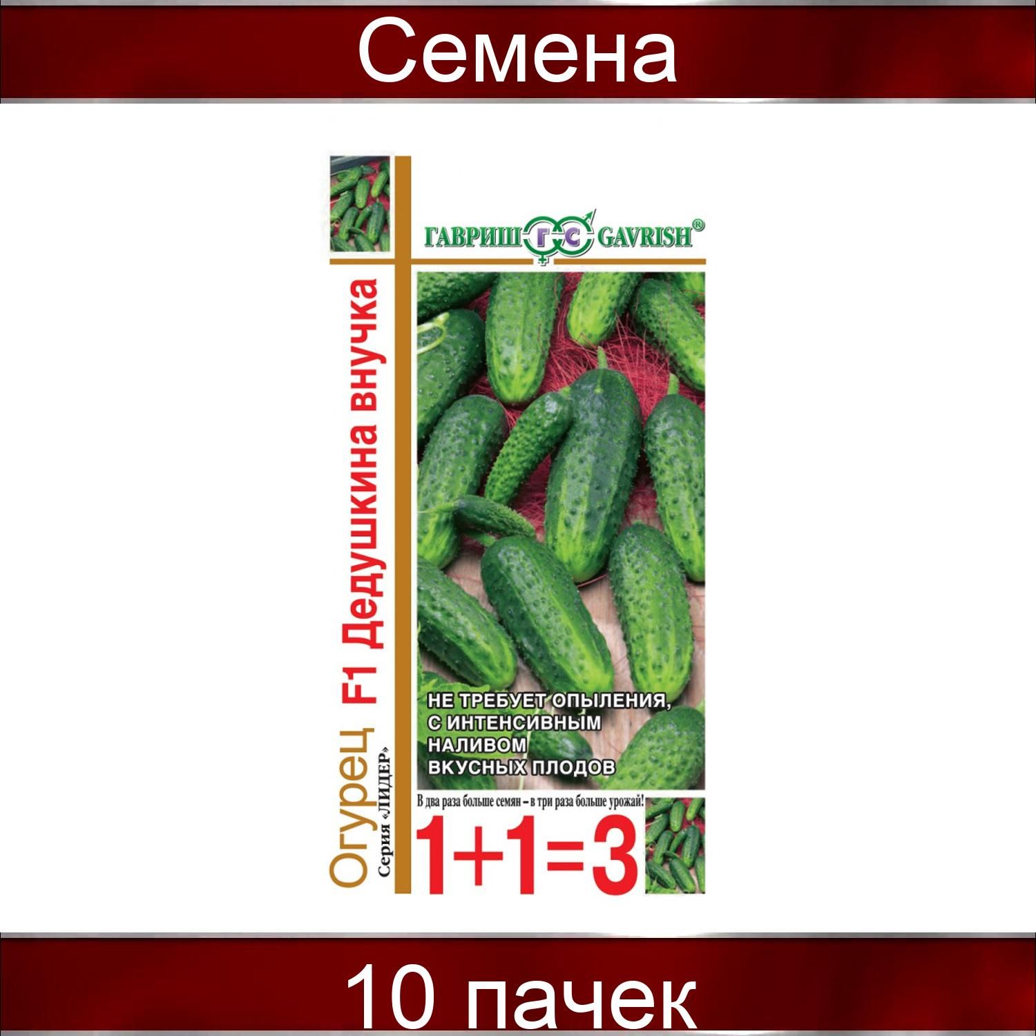 Сорт огурцов дедушкина внучка. Семена огурцов от гавриш. Огурец внученька f1 отзывы. Огурец дедушкина внучка. Огурец внученька f1.