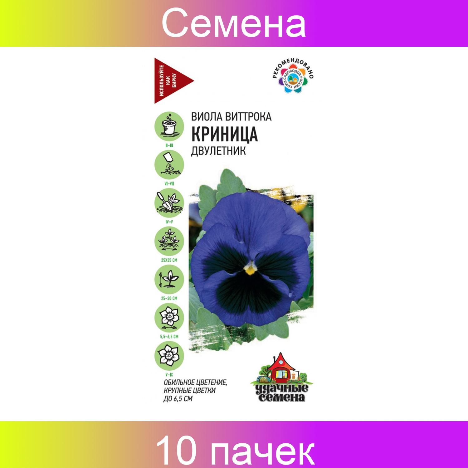 Семена Виолы Купить В Интернет Магазине