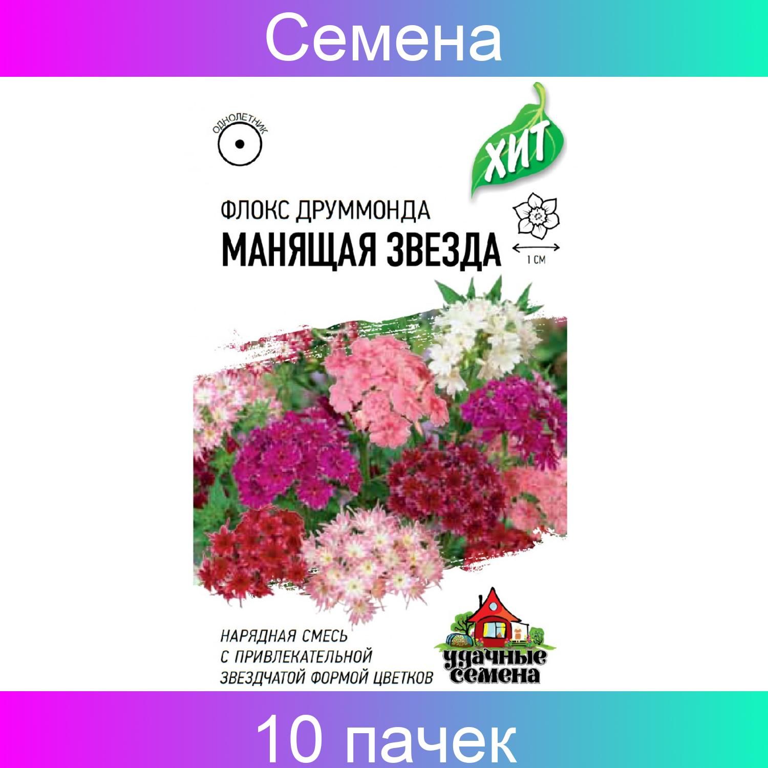 Однолетний флокс семена